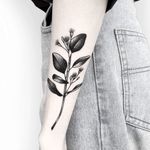 Eucalyptus branch done by Deanna Lee. . . . @hideetattoo . . . #deannalee #hideetattoo #melbournetattoo #melbournetattooartist #melbournetattooer #femaletattooartist #koreantattooartist #eucalyptus #northmelbournetattoo #vicmarkettattoo #armtattoo #blackwork #finelinetattoo #flowertattoo #floraltattoo