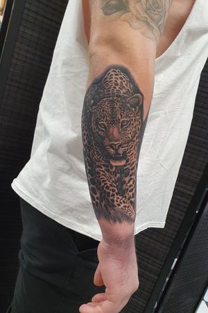 Black and grey leopard