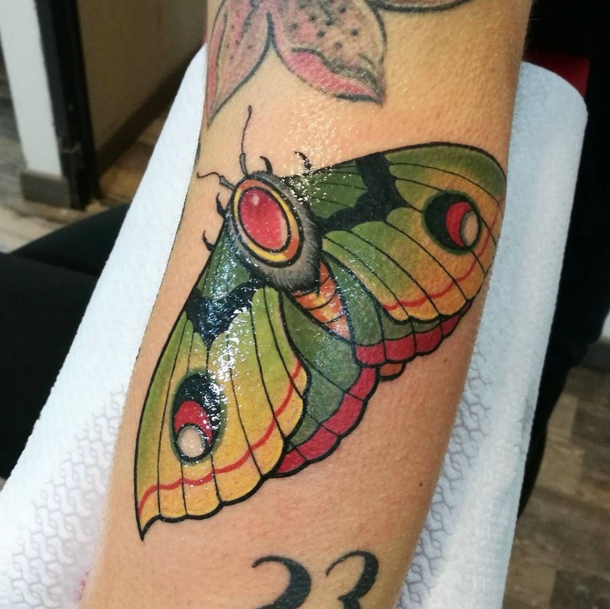 trippy butterfly tattooبحث TikTok