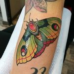 Butterfly tattoo #neotraditionaltattoo #butterfly #butterflytattoo