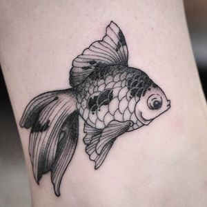 Another favourite of ours!This little fine line goldfish was done early last year by the one and only Wade Johnston....@wadejohnston ...#wadejohnston #wadejohnstonmachines #melbournetattoo #finelinetattoos #finelinetattoo #goldfish #goldfishofinstagram #fishtattoo #melbournetattooers #melbournetattooist #supportsmallbusiness #supportmelbourneartists #vicmarkettattoo #northmelbournetattoo