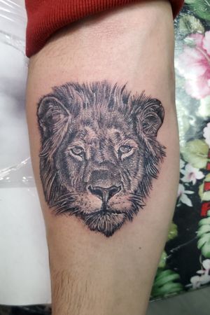 Tattoo uploaded by Norman Demorte • Small lion 🦁 • Tattoodo