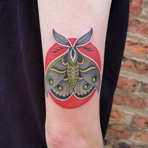 Neotrad style moth 