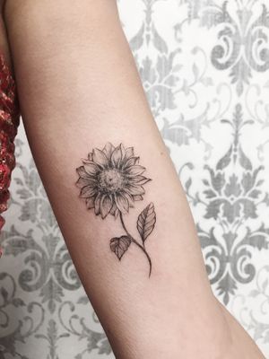 · Sunflower ·