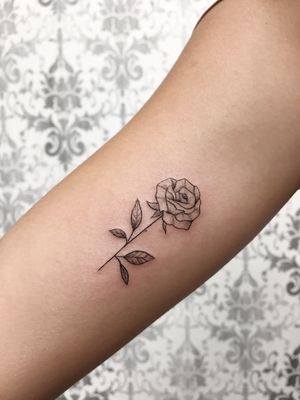 · Rose tattoo ·
