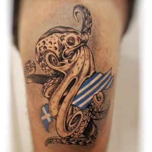 Octopus Greece Kos Island