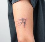 Swallow tattoo Fine line, single needle 