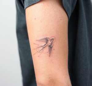 Swallow tattooFine line, single needle 