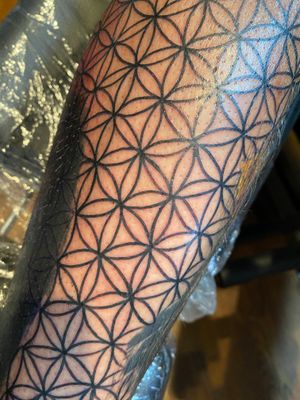 Flower of life and leg blackout