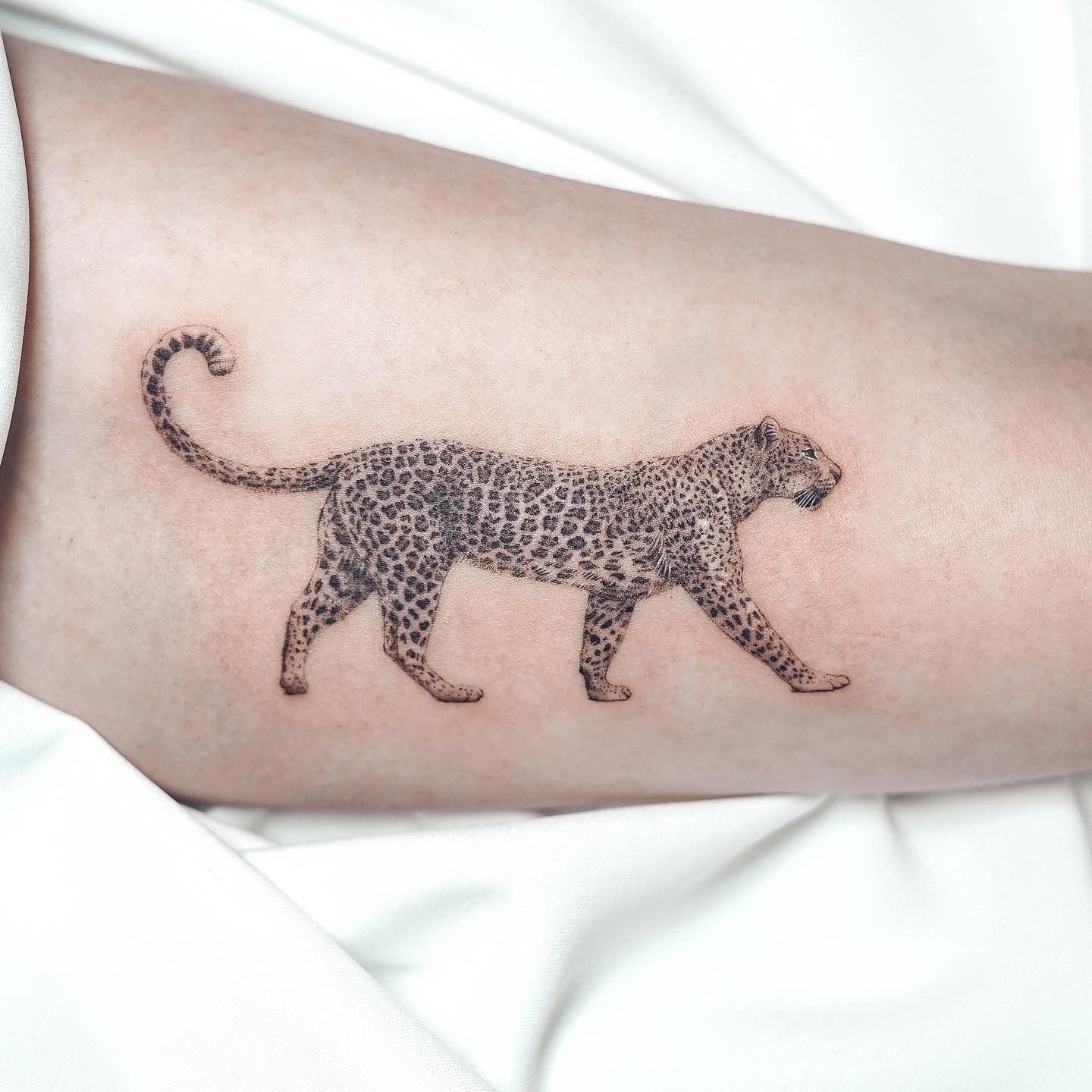 Forest Temporary Tattoo Men Fashion Black Small Wolf Tattoo Stickers Women  Wolf Cheetah Water Transfer Fake Tatoos Body Arm Neck - Temporary Tattoos -  AliExpress