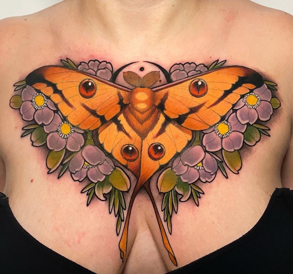 Beautiful Moths Sticker Collection