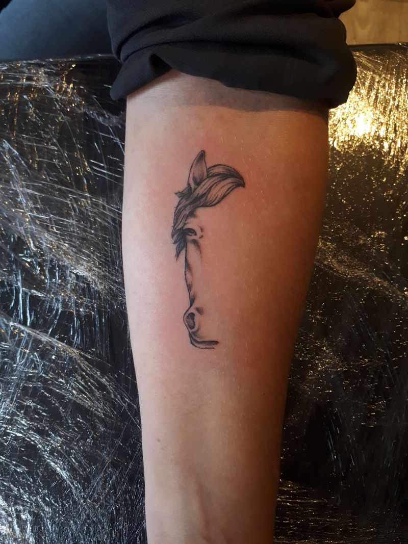 Squid's Ink • Tattoo Studio • Tattoodo