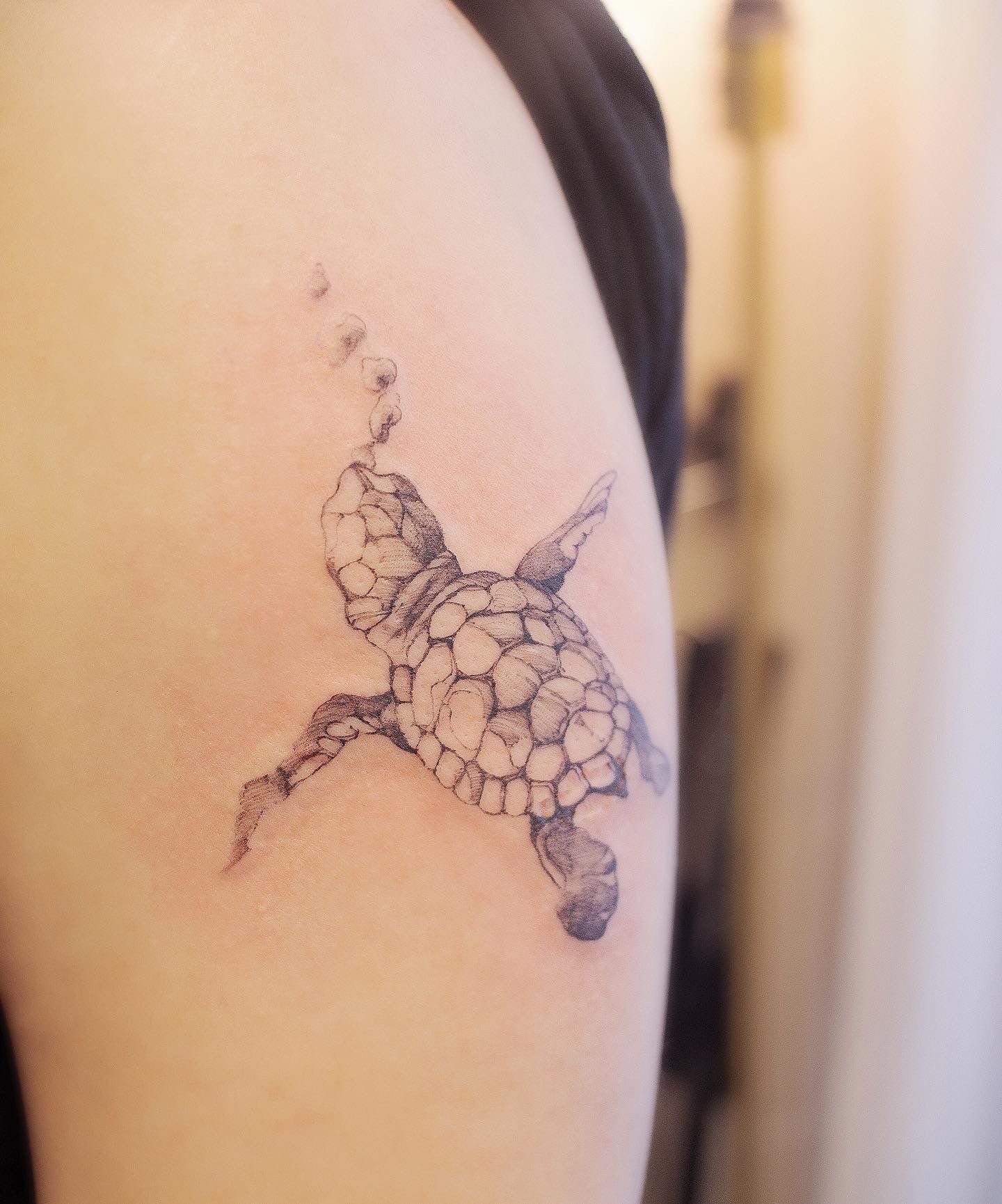 Turtle and Lizards. Polynesian tattoo style. Stock Vector by ©katyaulitina  81573886