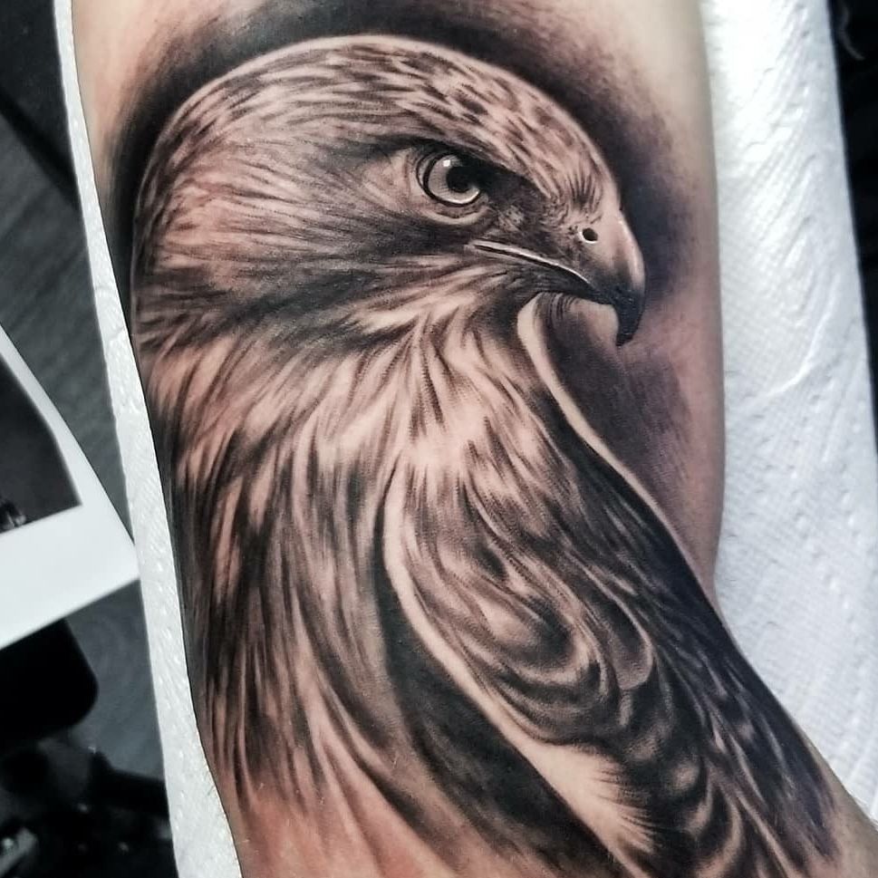 Red tailed hawk from yesterday Thanks again Matt inkanddaggertattoo  neotraditionaltattoo neotraditional hawk neotrad  Instagram