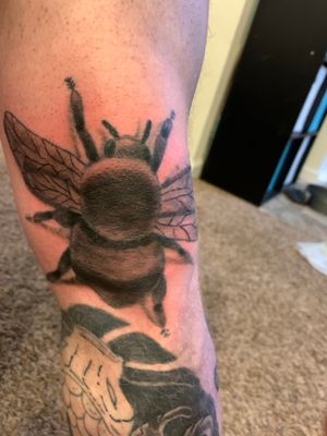 Realistic bee I did on my own knee. About 6 inches in height. Gray wash, whip shading, line work. 