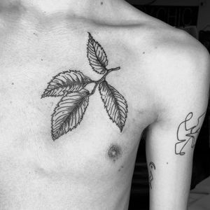 Leaf tattoo, leaves line work 
