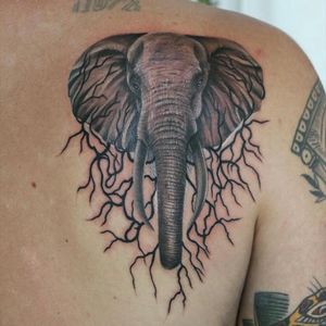 elephant tattoo 