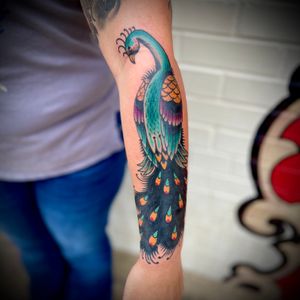 Peacock by Josh