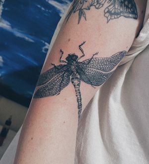 #dragonfly #dragonflytattoo #doting #dotwork #dotworktattoo #tattooart #dots #dotwork #dotworktattoo #stattoo #stattoo #girlswithtattoo #inkedgirls #blackboldsociety #blxckink #oldlines #tattoosandflash #darkartists #topclasstattooing #inked #inkedgirls #inkedup #minimal #minimalism #stattoo #smalltattoo