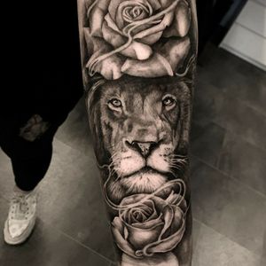 Lion rose 