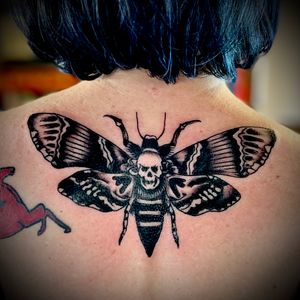 Death’s head moth by Josh. 