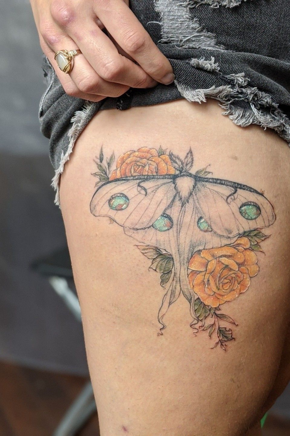Luna Moth  Ancient Indigo  Tattoos by Amanda Appiarius