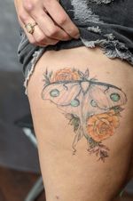 HEALED fineline luna moth tattoo #healed #moth #lunamoth #rose #gemtattoo 