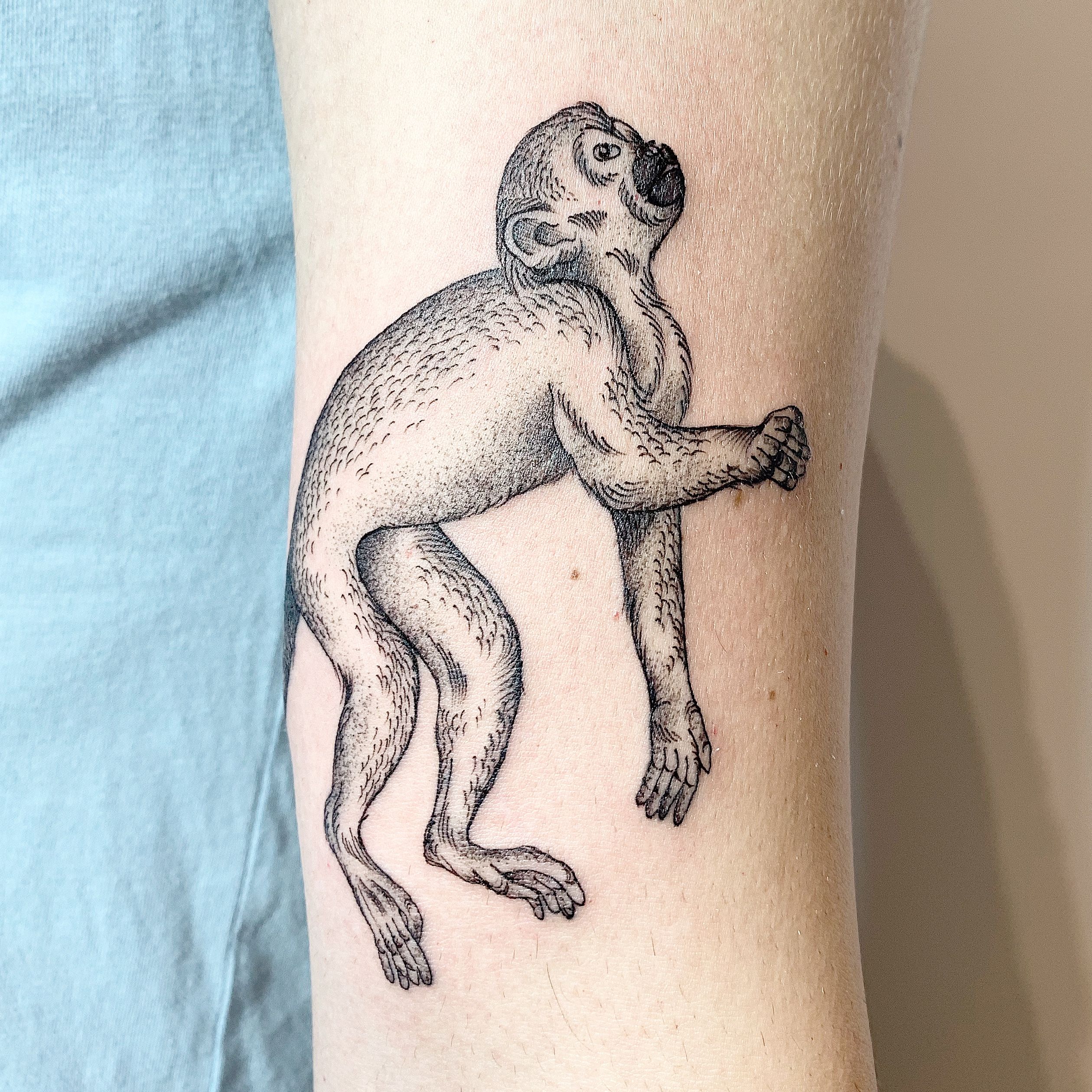 Monkey Tattoo Images – Browse 18,922 Stock Photos, Vectors, and Video |  Adobe Stock