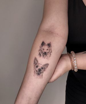 Pet Tattoo 🐶