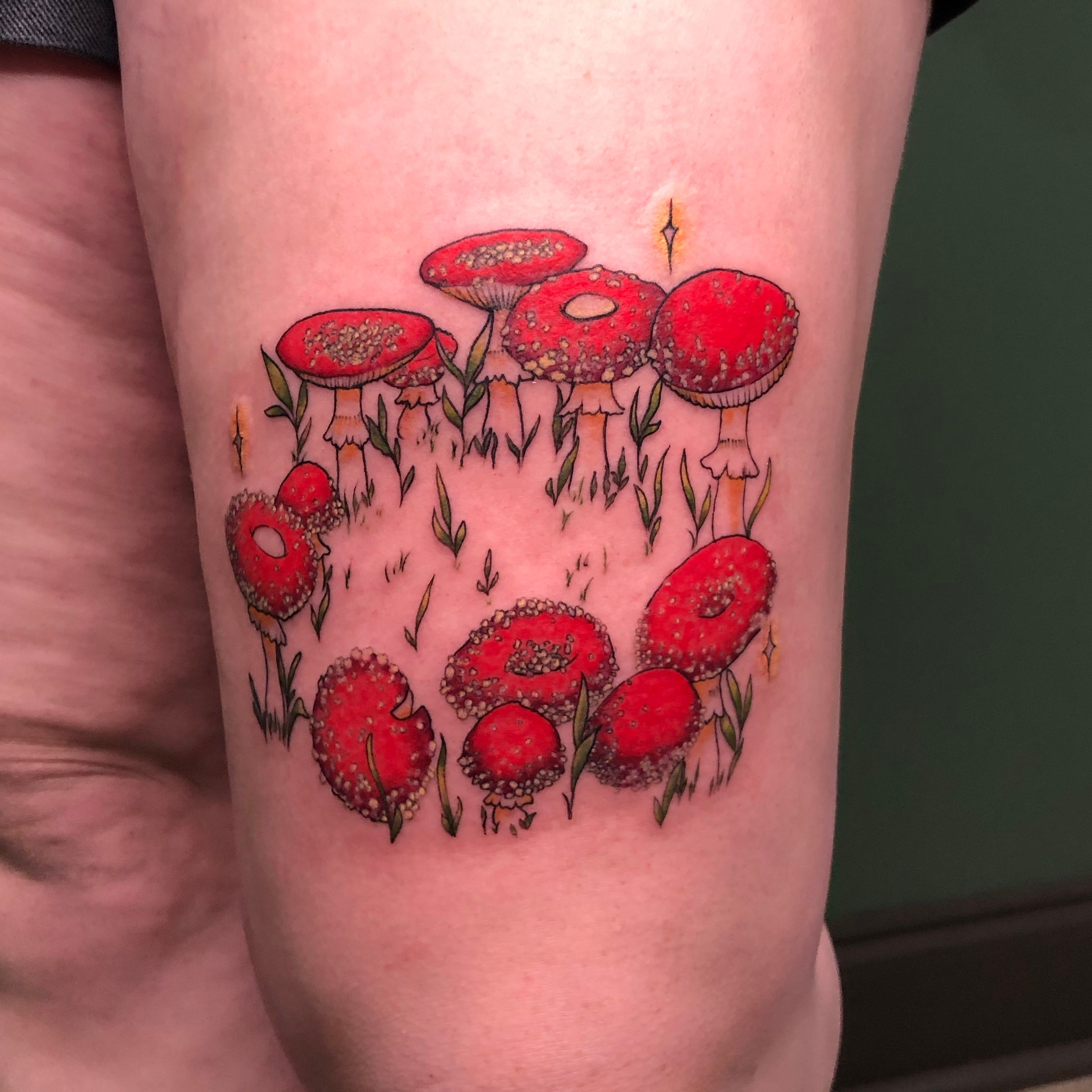 Mushroom  fairy ring for Devon Definitely a spicy spot to get tattooed  all at once Thanks again   35 hours  tattoo tattoos  Instagram