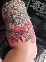 Pink Jasmine Tattoo 