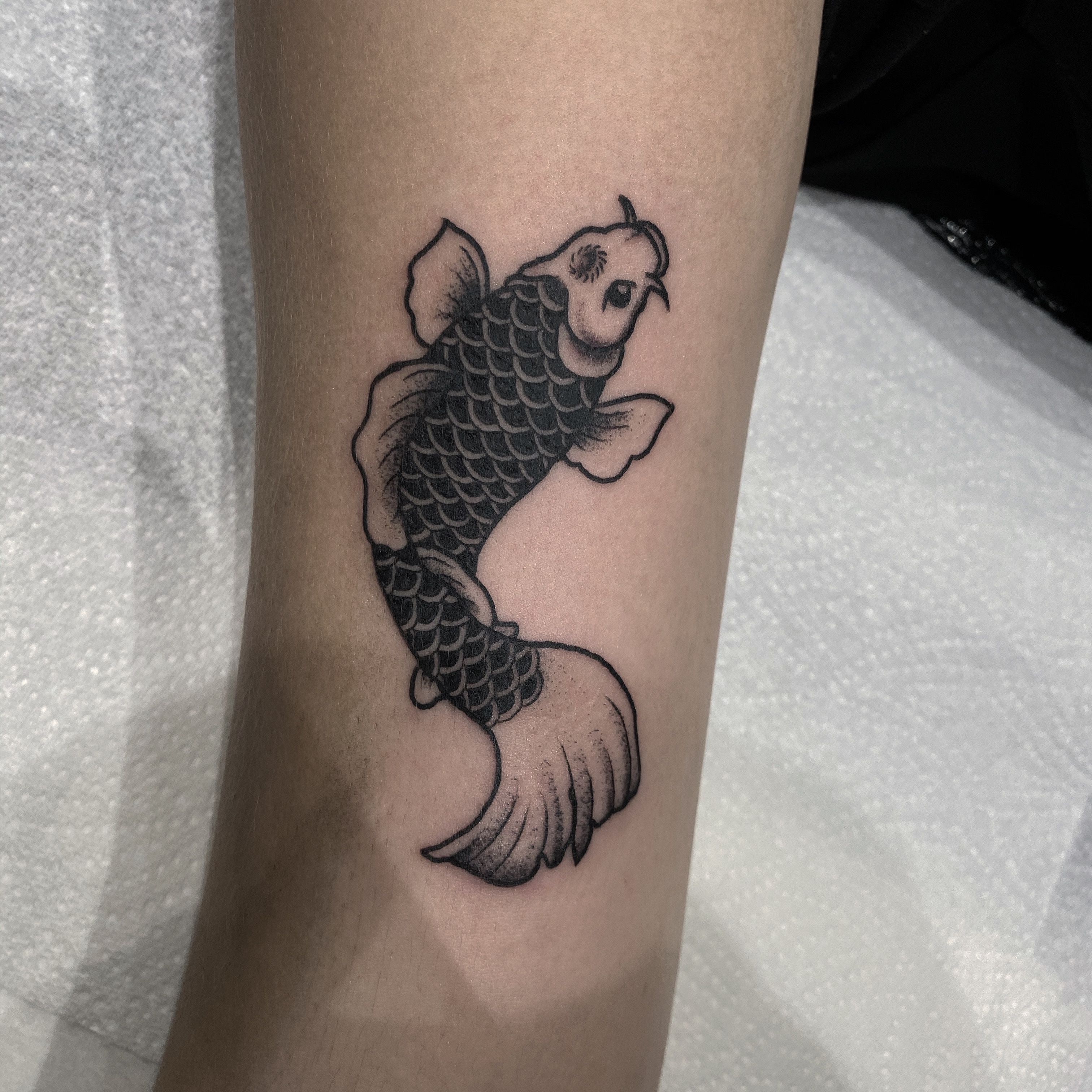 Tattoo uploaded by Young Tom Tattoos • Little blackwork koi • Tattoodo
