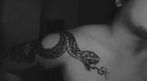 snake by EA Herrera