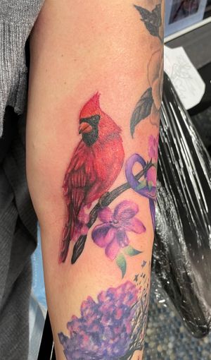 Cardinal for my clients mom 
