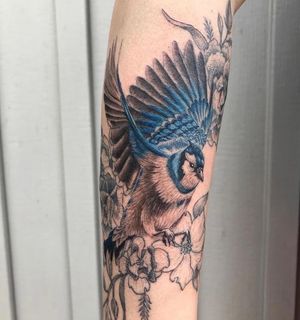 Tattoo Uploaded By Tredtattooer Blue Jay Tattoo Tattoodo