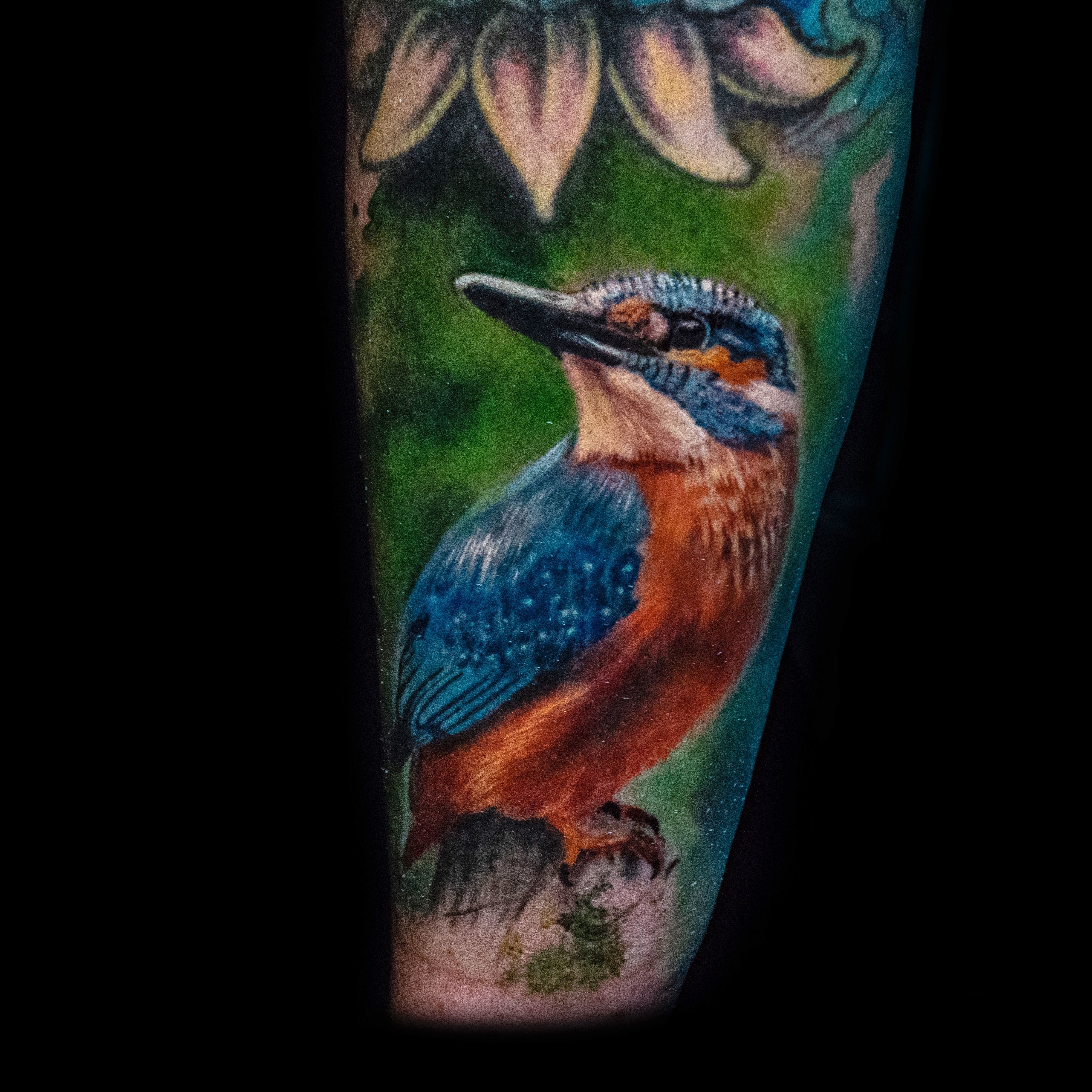 Kingfisher Tattoo Illustration - Number Nine Studios - Paintings & Prints,  Animals, Birds, & Fish, Birds, Kingfisher - ArtPal