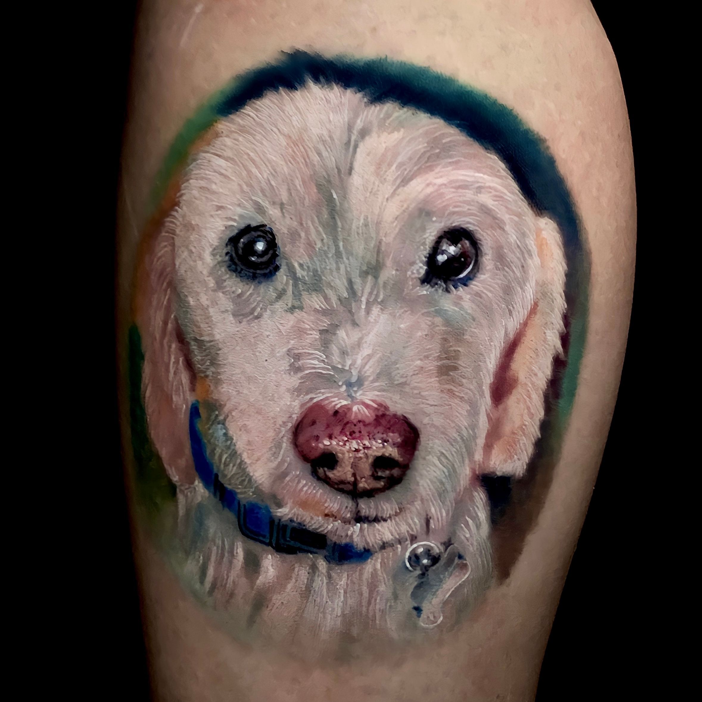 Tattoo uploaded by Chucky Holden  Color portrait of dog  Tattoodo