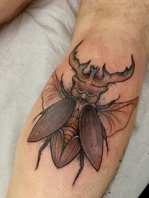 Stag beetle Tattoo on a calf 