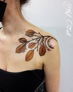 Copper Beech leaves from my "found collection" . #leaftattoo #leavestattoo #fallleaves #botanicaltattoo #watercolortattoo