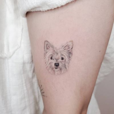Dog portrait #microrealism #realism #dog #inked #tattoosbysherri