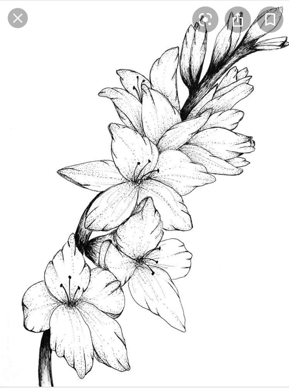 Tattoo uploaded by alysapugmire • Inspiration. Not my photo or work.  Gladiolus flower • Tattoodo