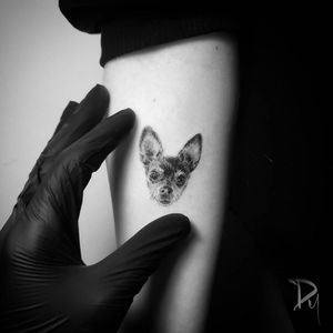Realistic-mini-dog-face-tattoo #Micro Realism