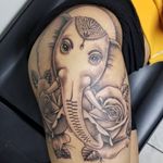 Elephant and roses