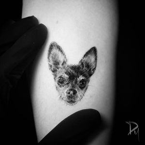 Realistic-mini-dog-face-tattoo#Fineline