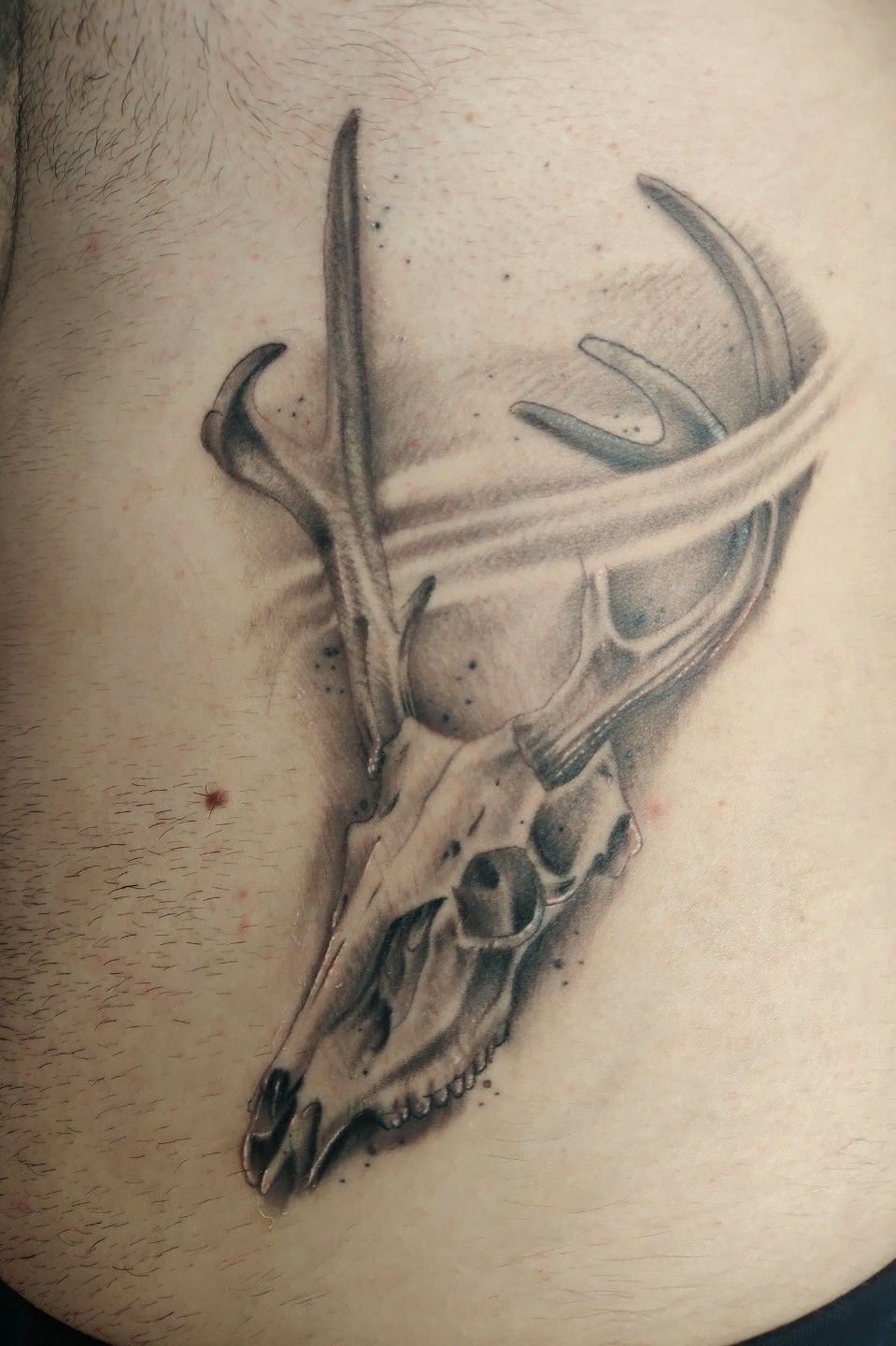 Tattoo uploaded by Aitor Ruiz de Larrea Anta • #deal #skull #realist •  Tattoodo