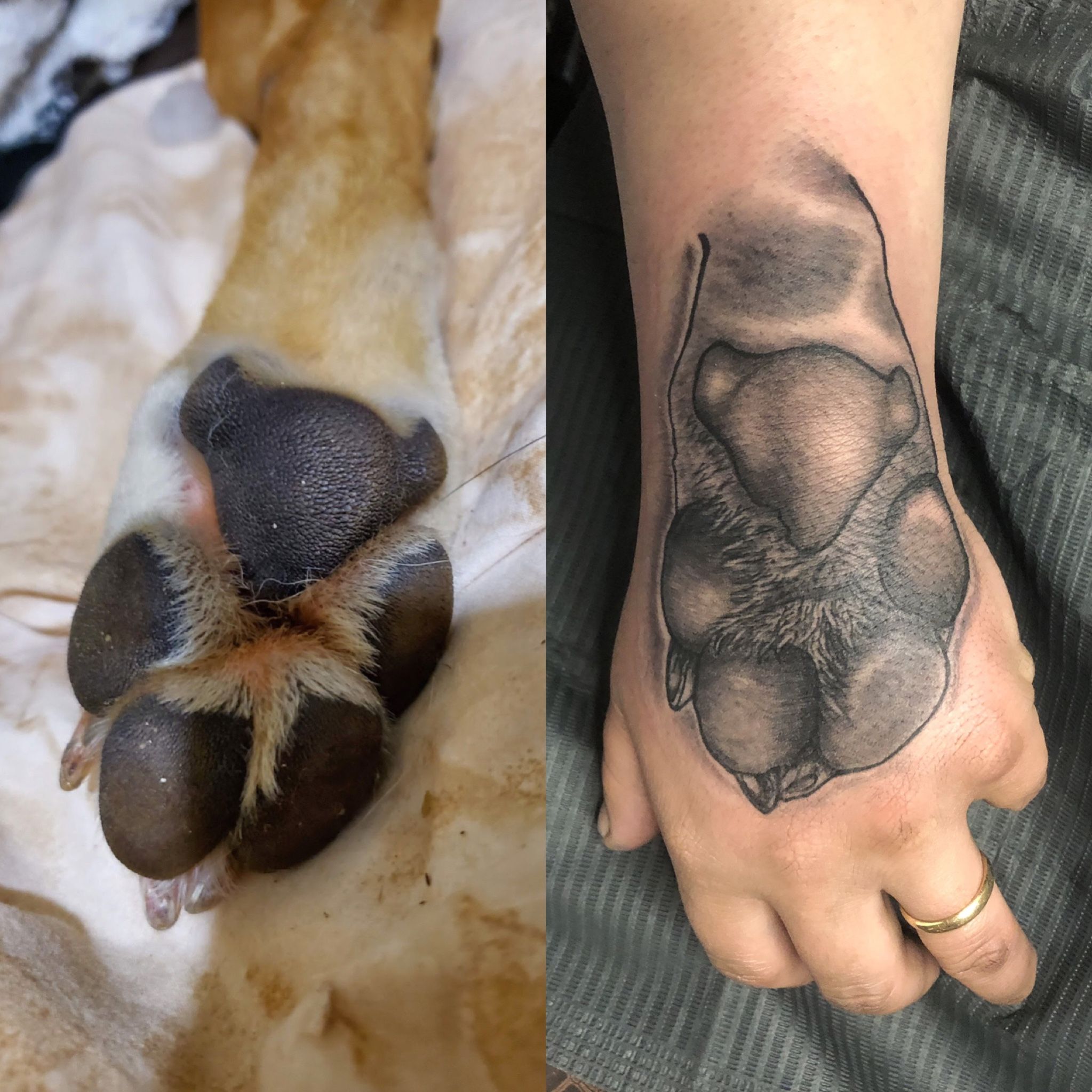 dog paw print memorial tattoos