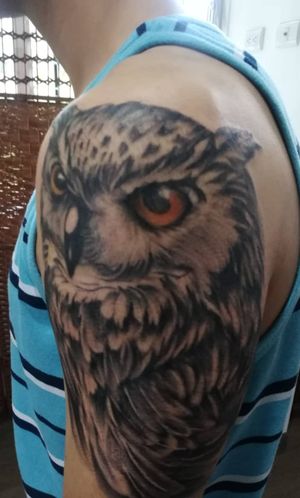 Owl Tattoo -- Buho Tattoo 