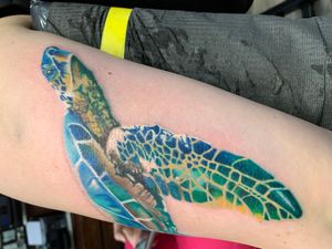 Gorgeous ocean colors on this sea turtle by Chris