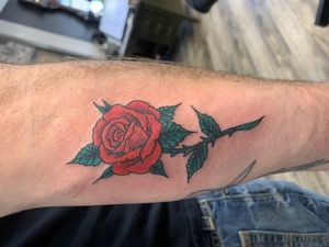 Red Rose by Devin