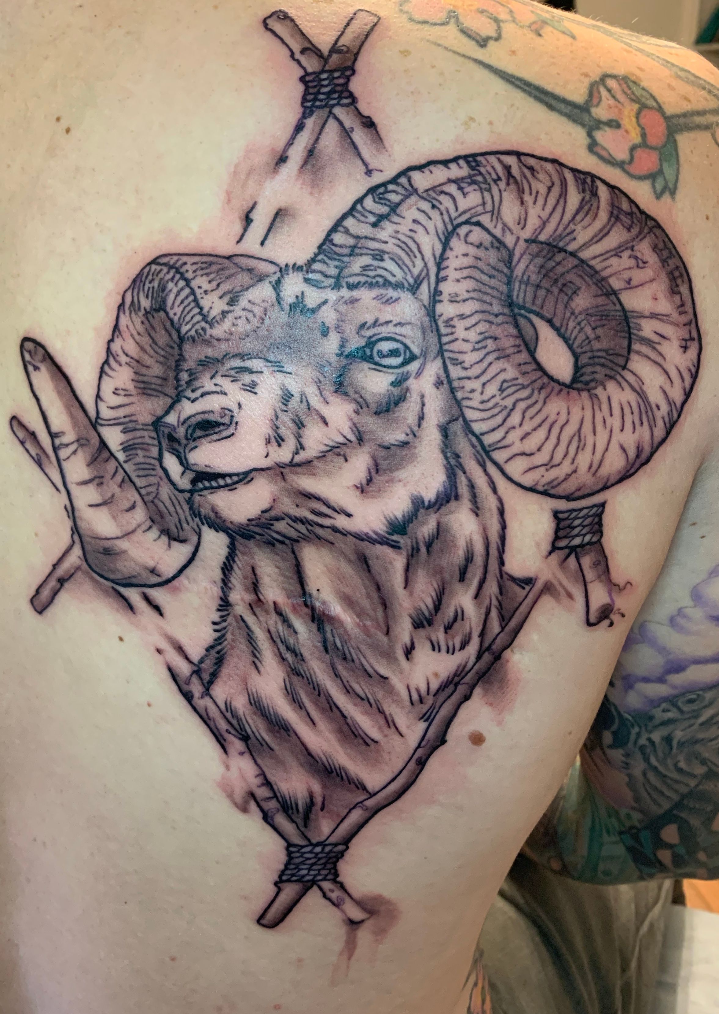 Bighorn sheep skull tattoo by Emrah Ozhan  Post 32006